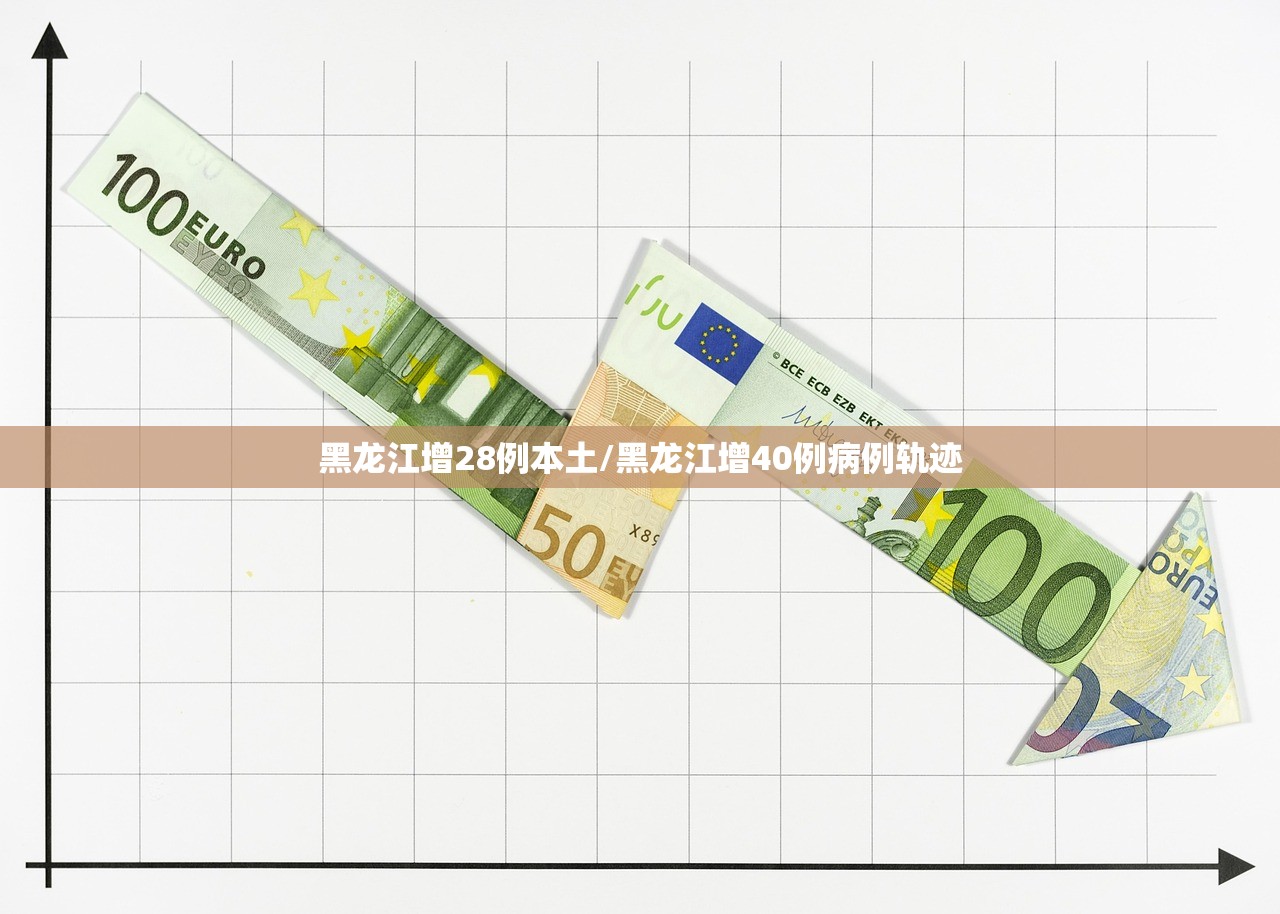 黑龙江增28例本土/黑龙江增40例病例轨迹