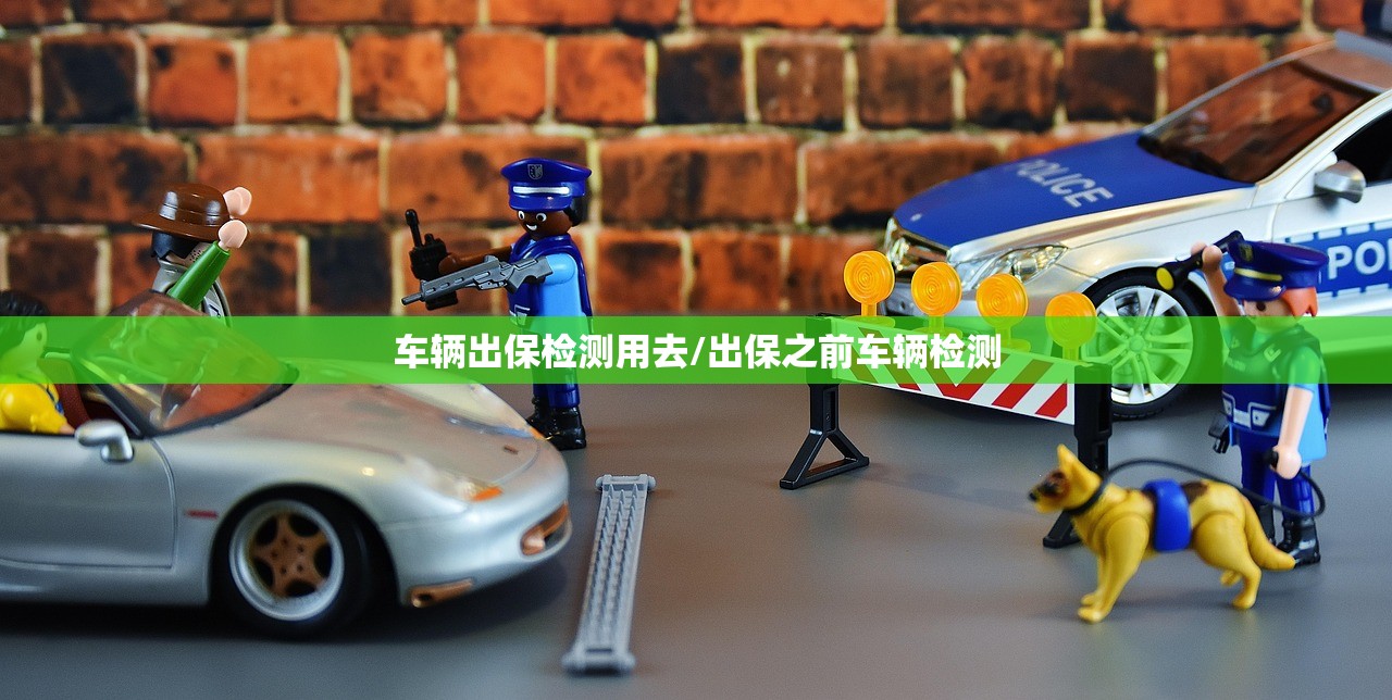 车辆出保检测用去/出保之前车辆检测