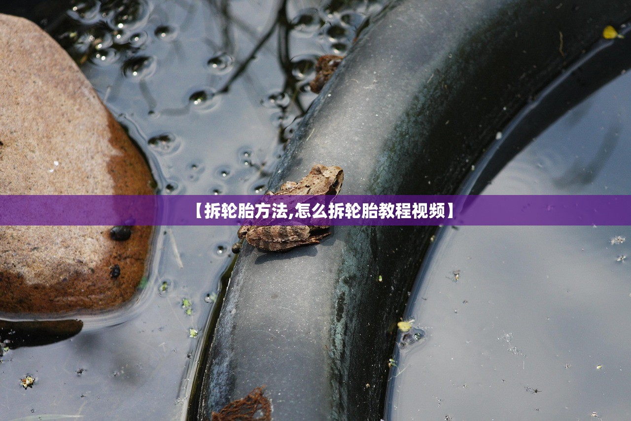 【拆轮胎方法,怎么拆轮胎教程视频】