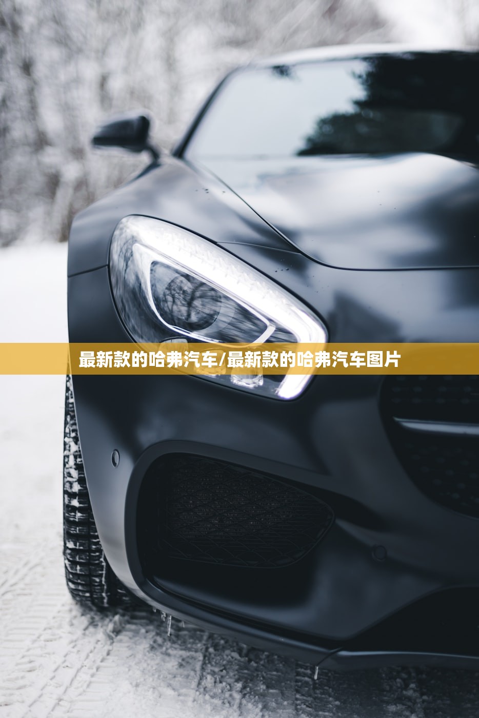 最新款的哈弗汽车/最新款的哈弗汽车图片