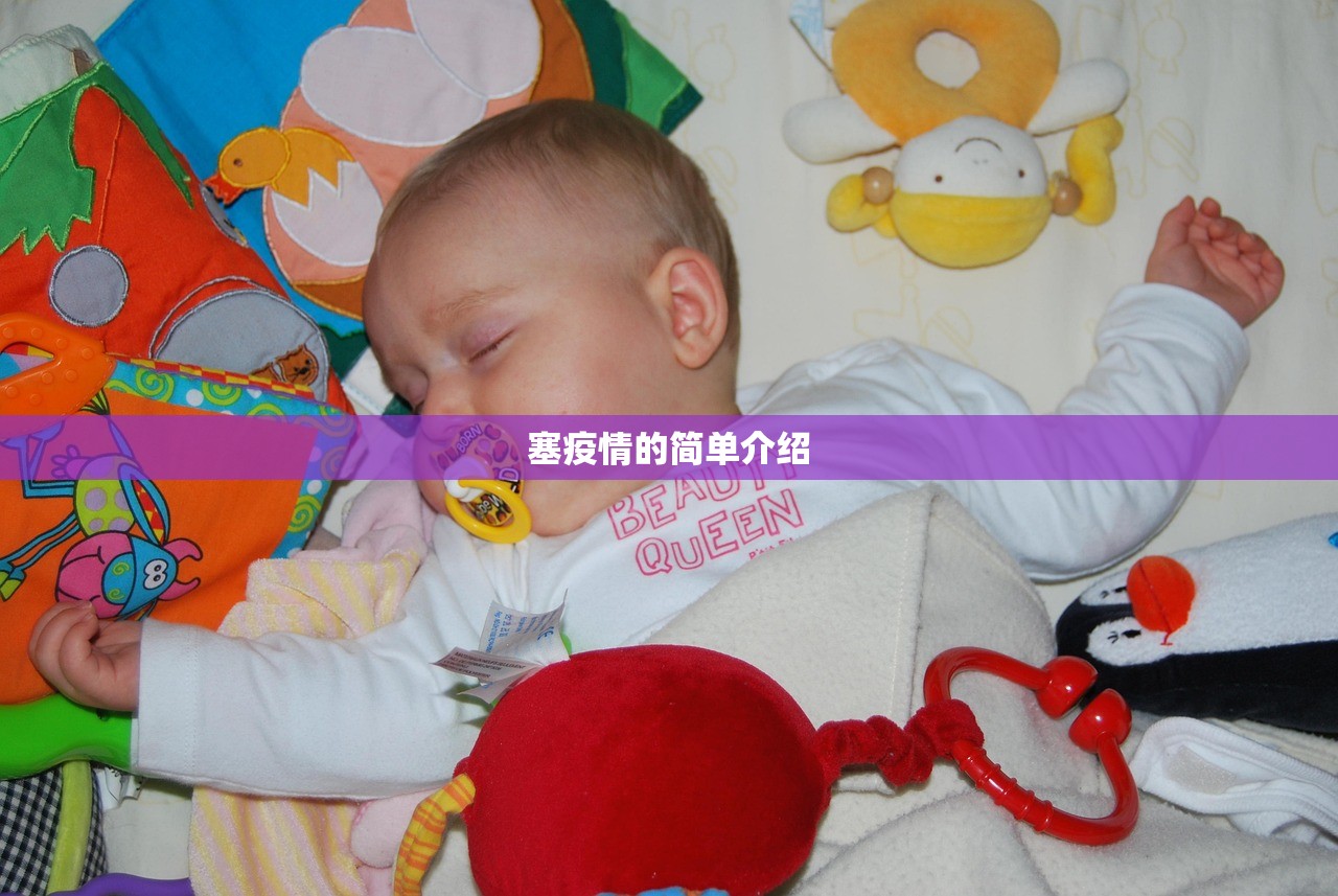 塞疫情的简单介绍