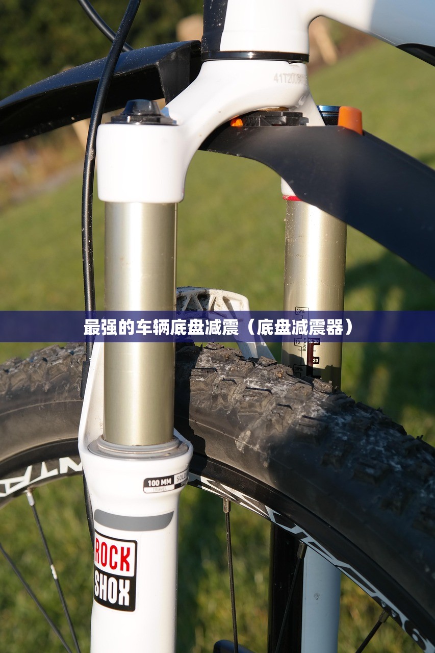 最强的车辆底盘减震（底盘减震器）