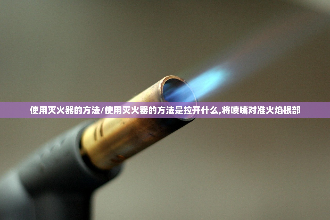 使用灭火器的方法/使用灭火器的方法是拉开什么,将喷嘴对准火焰根部