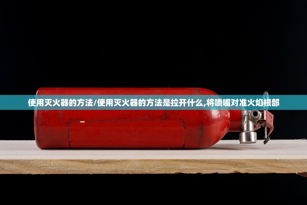 使用灭火器的方法/使用灭火器的方法是拉开什么,将喷嘴对准火焰根部