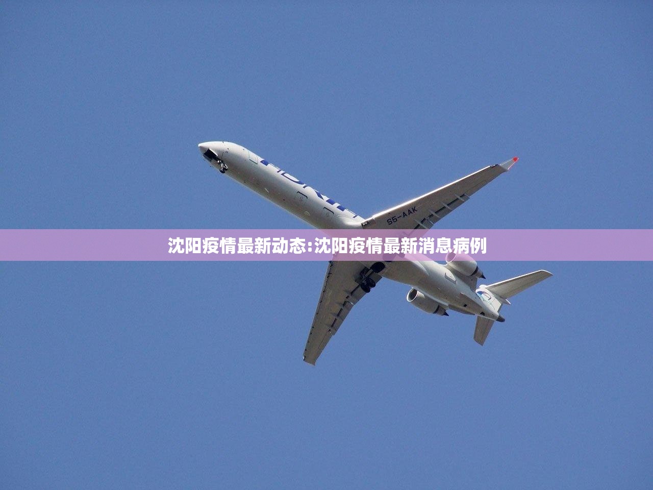 沈阳疫情最新动态:沈阳疫情最新消息病例