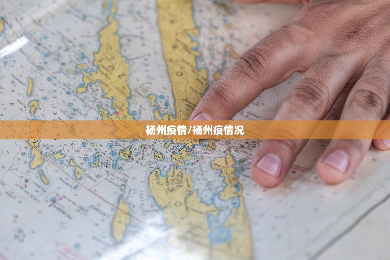 杨州疫情/杨州疫情况