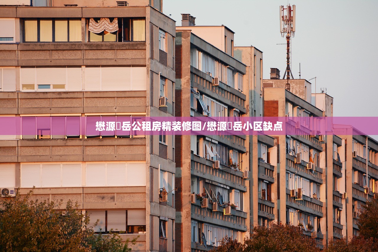 懋源璟岳公租房精装修图/懋源璟岳小区缺点