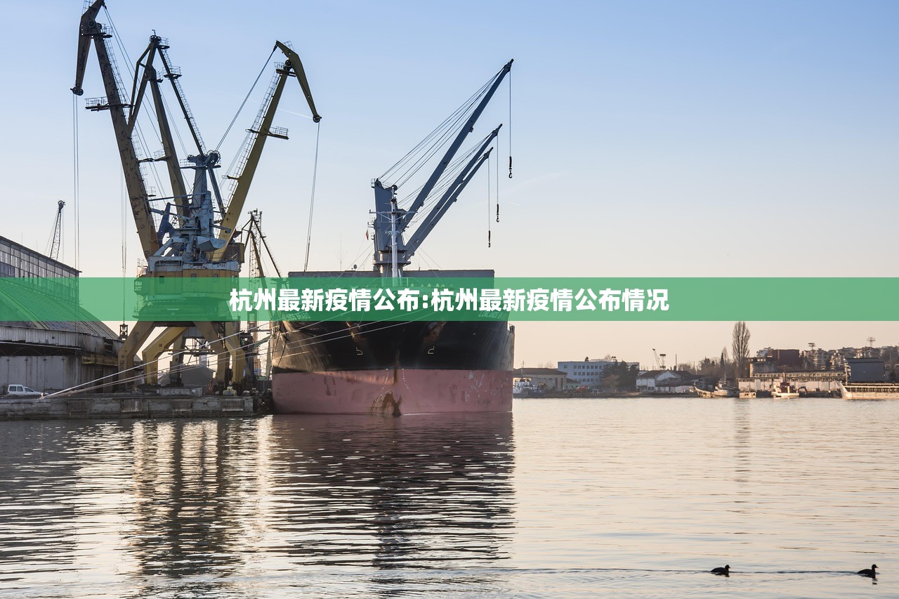 杭州最新疫情公布:杭州最新疫情公布情况