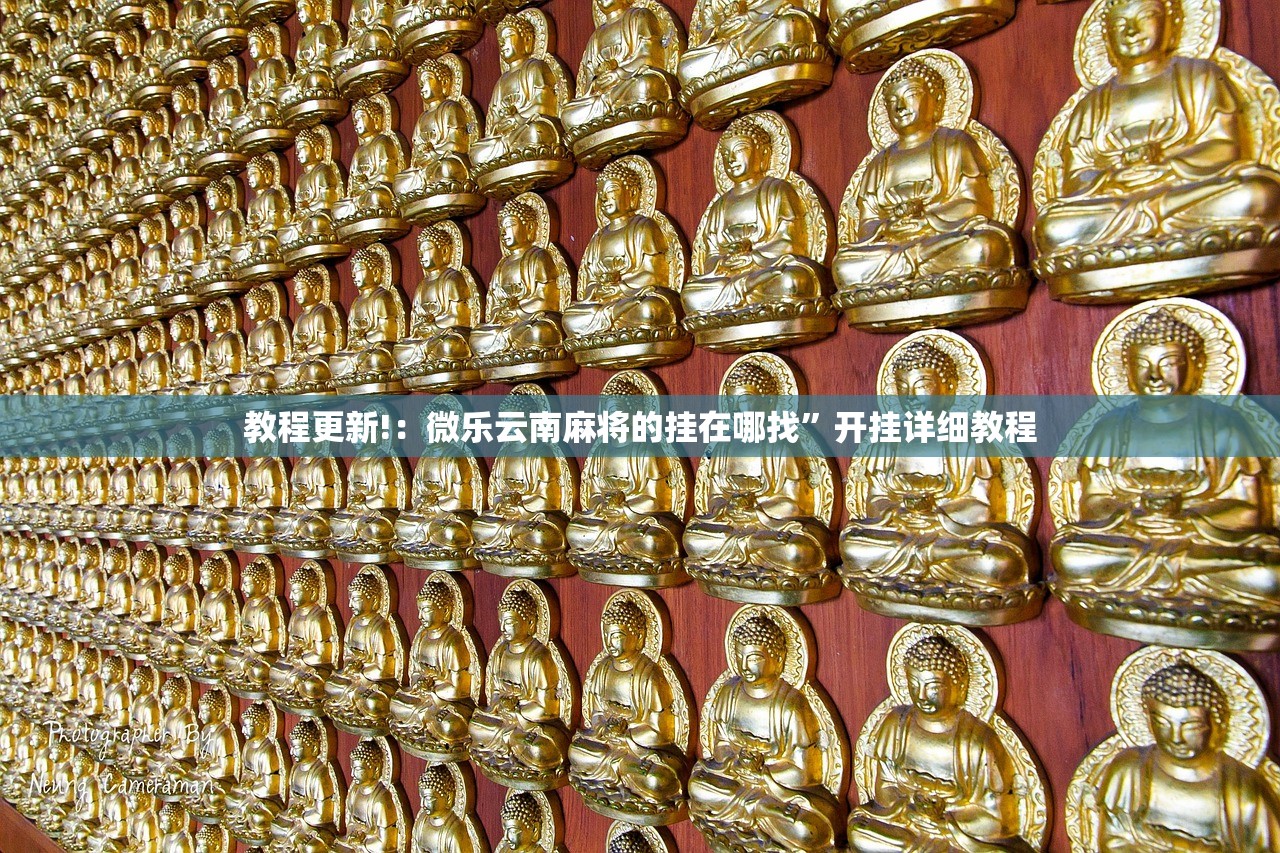 教程更新!：微乐云南麻将的挂在哪找”开挂详细教程