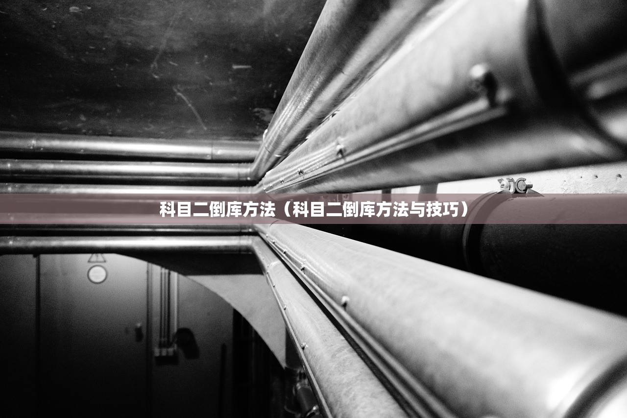 科目二倒库方法（科目二倒库方法与技巧）