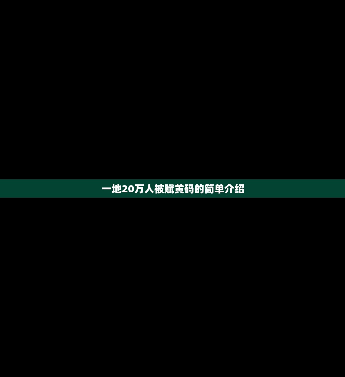 一地20万人被赋黄码的简单介绍