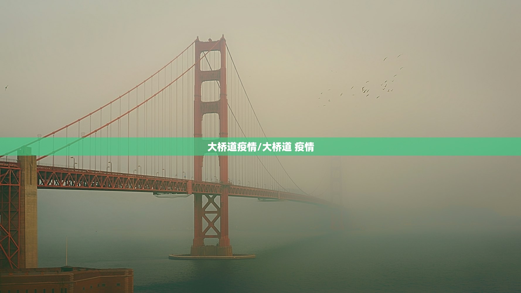 大桥道疫情/大桥道 疫情