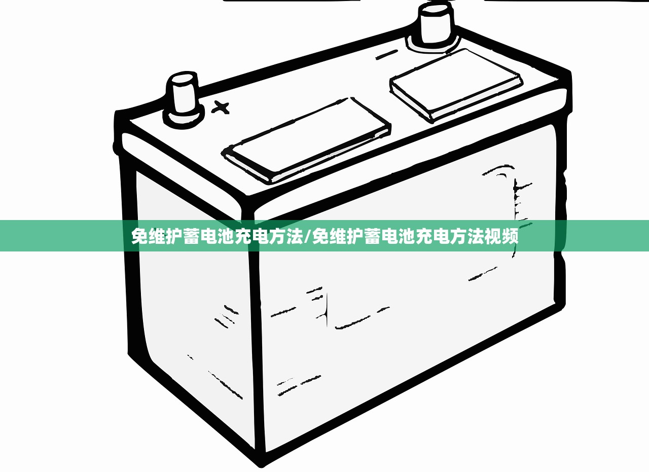 免维护蓄电池充电方法/免维护蓄电池充电方法视频