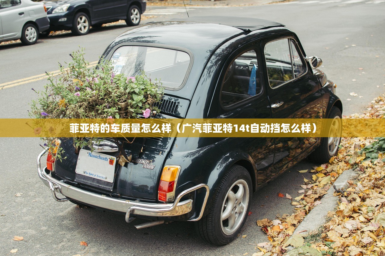 菲亚特的车质量怎么样（广汽菲亚特14t自动挡怎么样）
