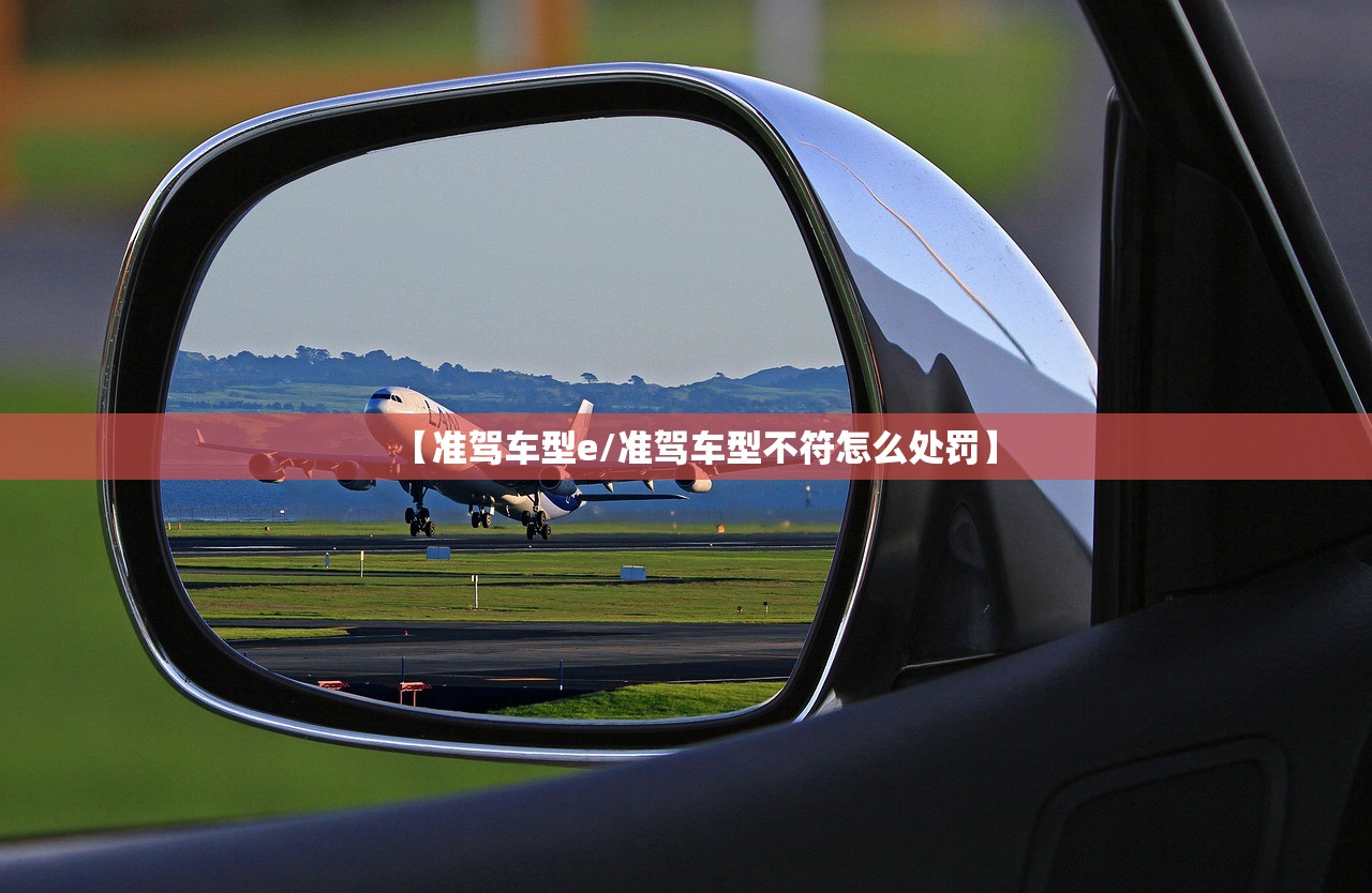 【准驾车型e/准驾车型不符怎么处罚】