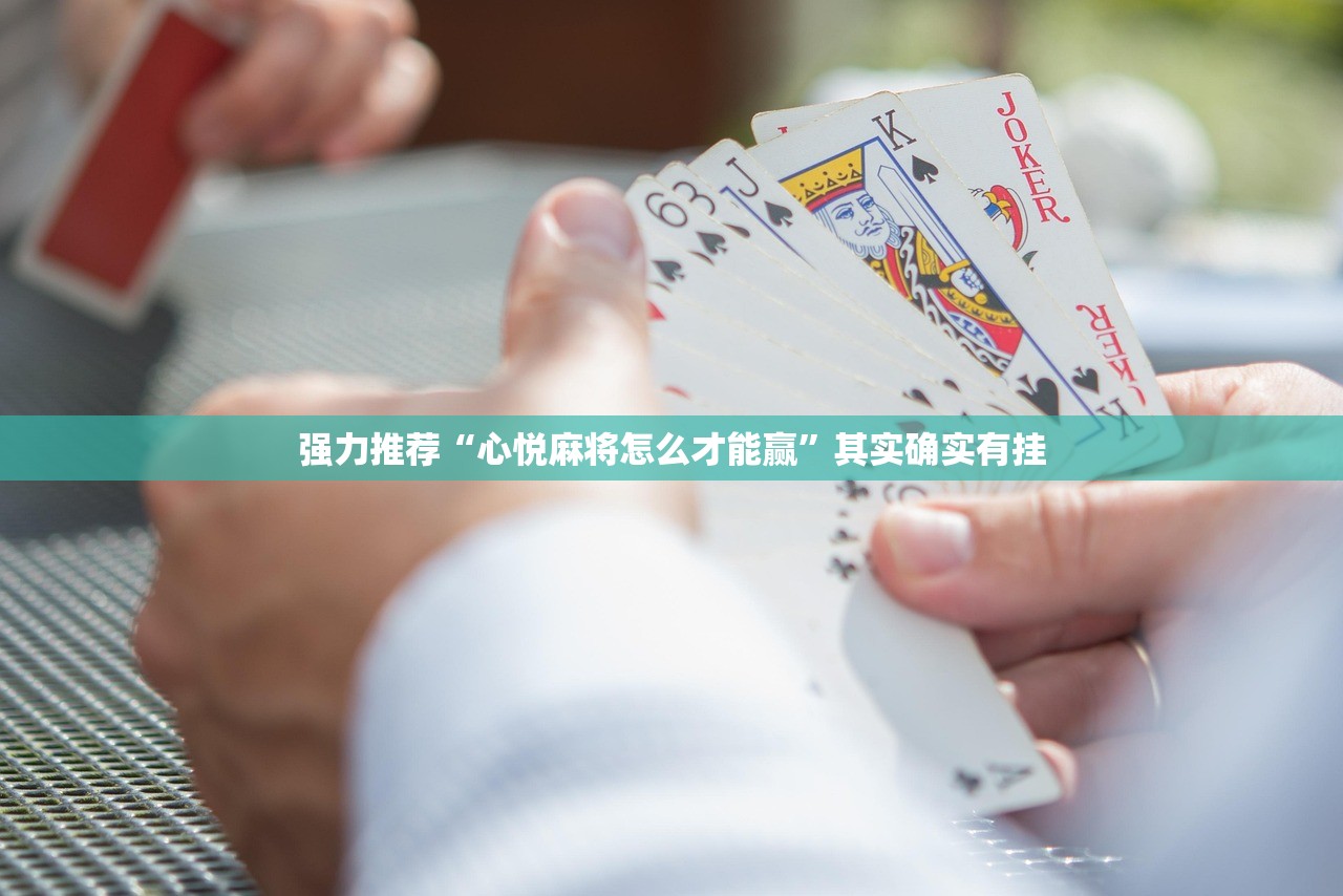 实测辅助“滇南茶馆有挂吗”细辅助教程分享