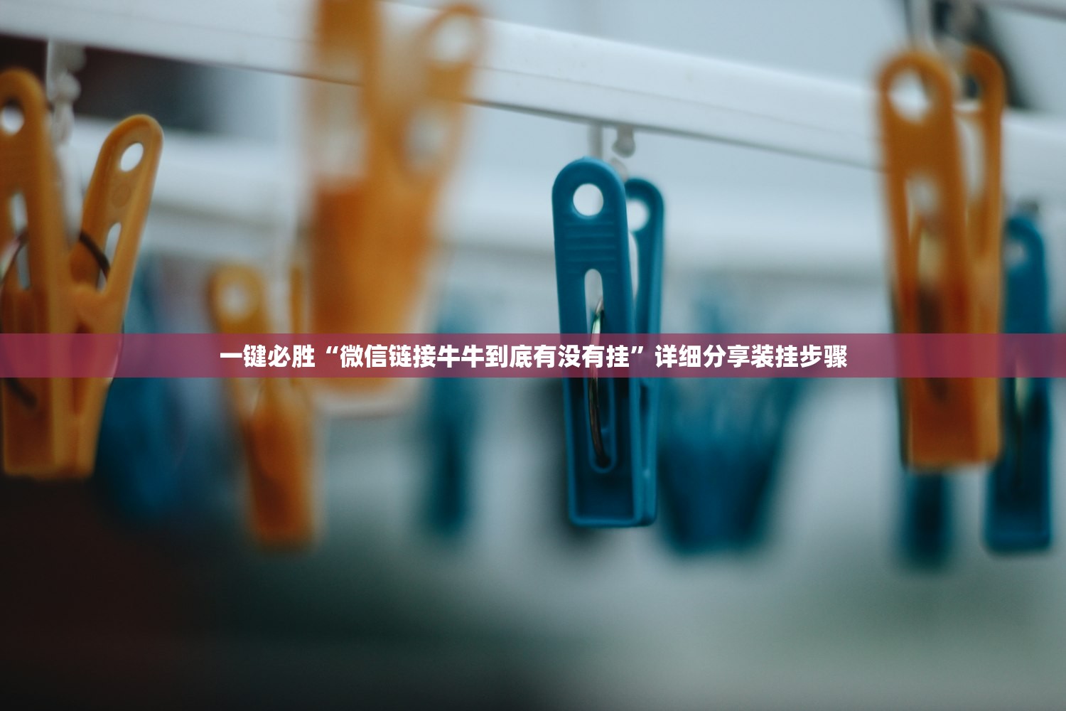 川大哪个专业好/川大什么学院比较好