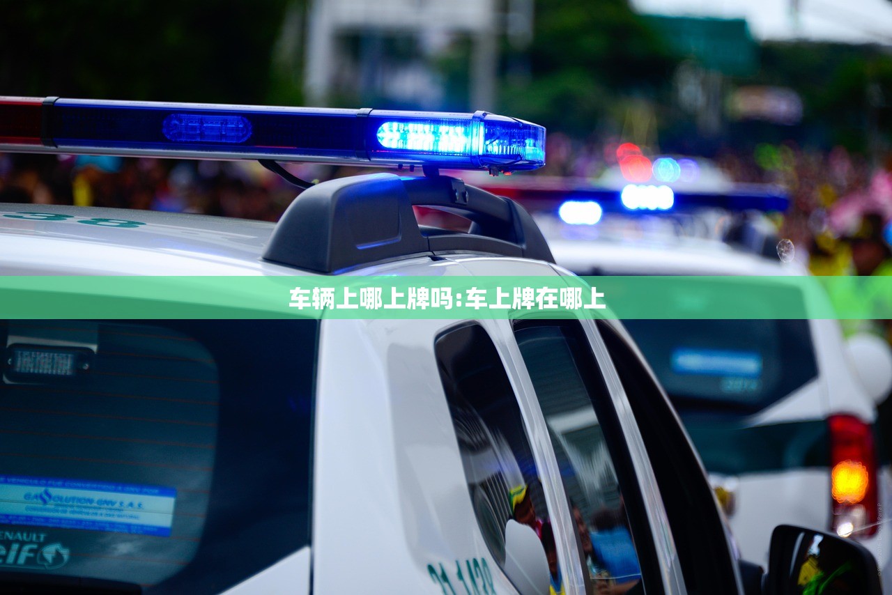 车辆上哪上牌吗:车上牌在哪上