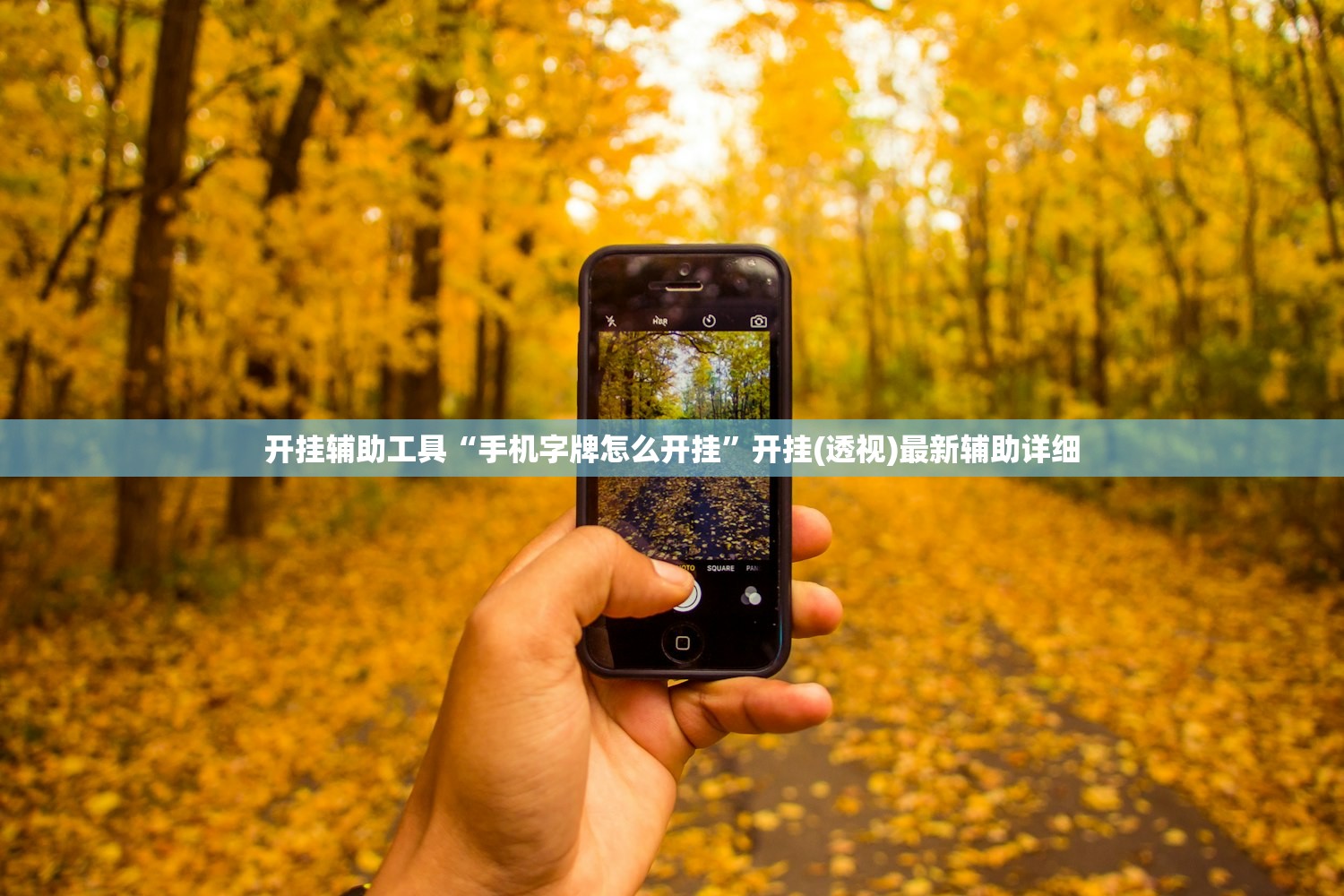 开挂辅助工具“手机字牌怎么开挂	”开挂(透视)最新辅助详细