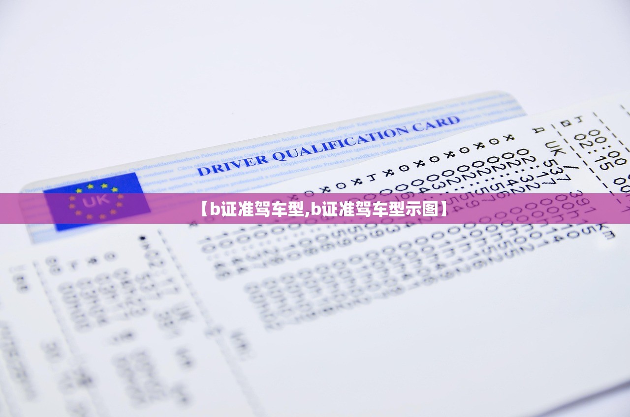 【b证准驾车型,b证准驾车型示图】