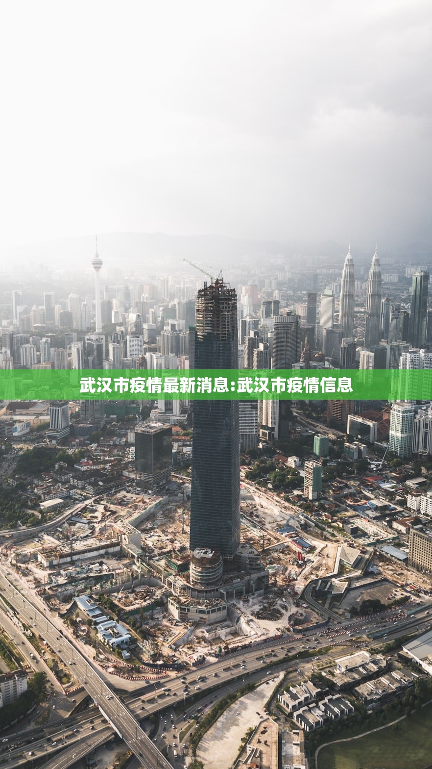 武汉市疫情最新消息:武汉市疫情信息