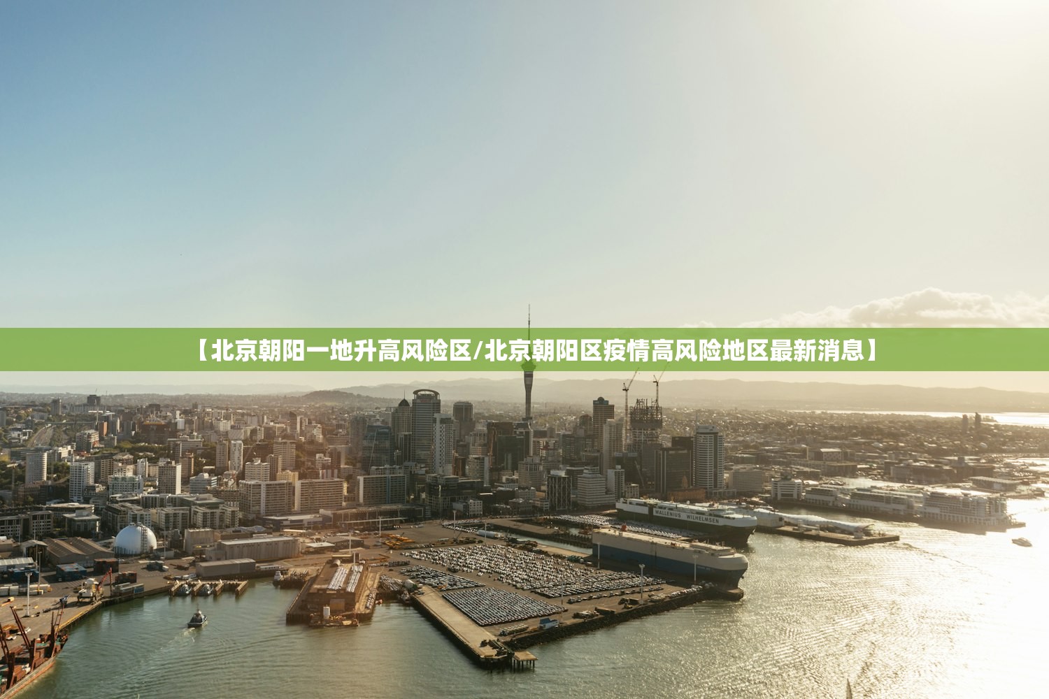限行尾号查询/天津市限行尾号查询