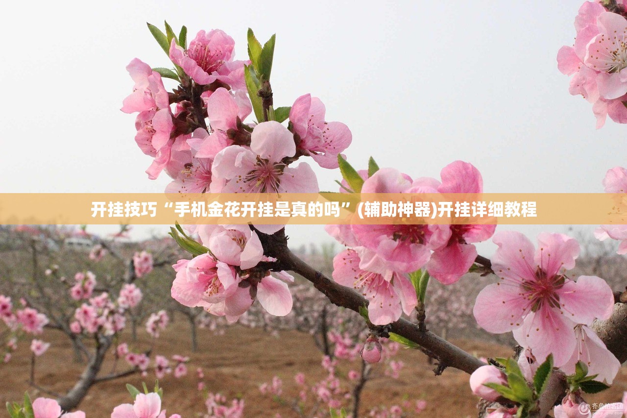 开挂技巧“手机金花开挂是真的吗”(辅助神器)开挂详细教程