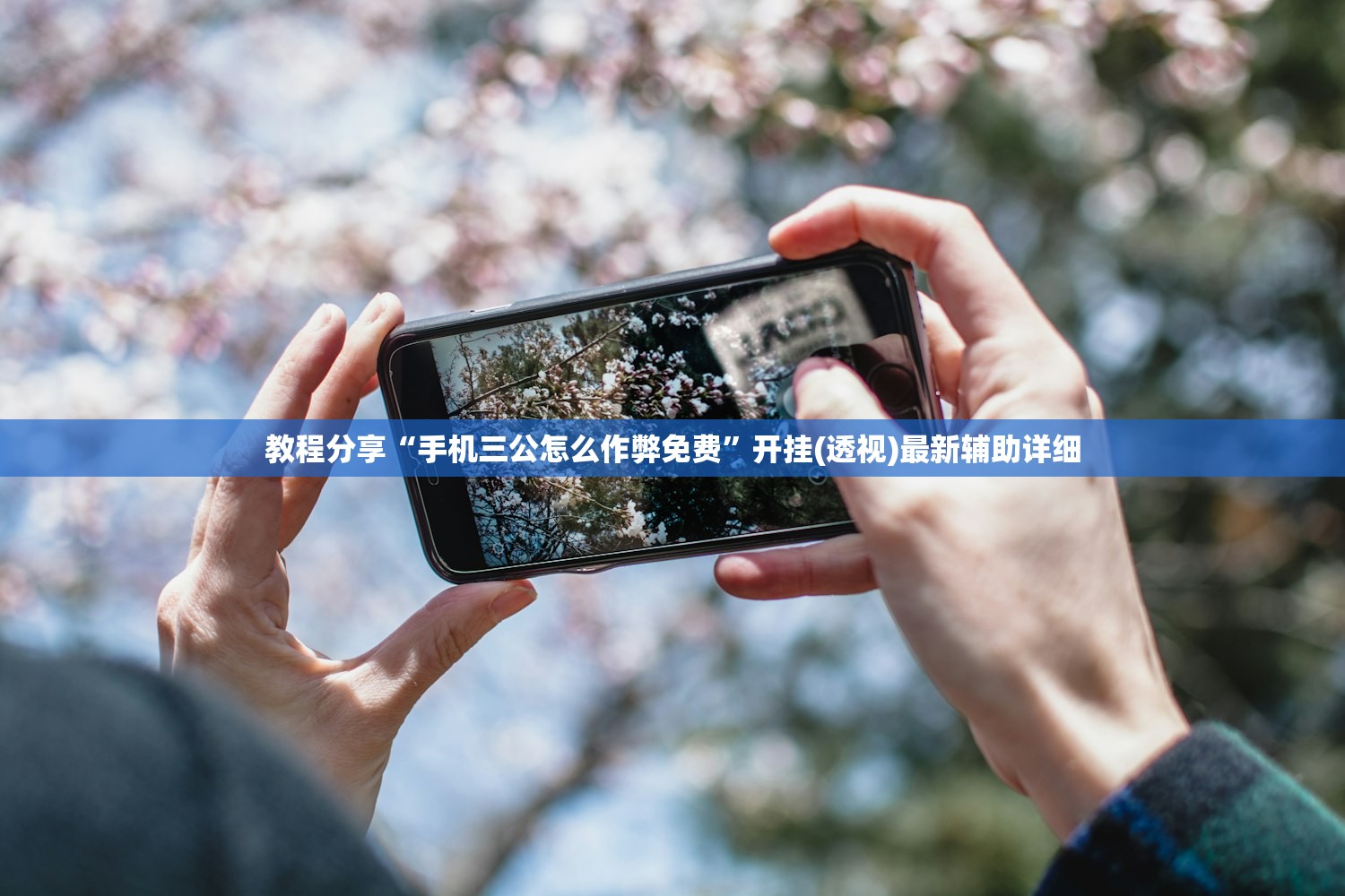 万能开挂辅助“鸿运十三张开挂教程”详细开挂教程