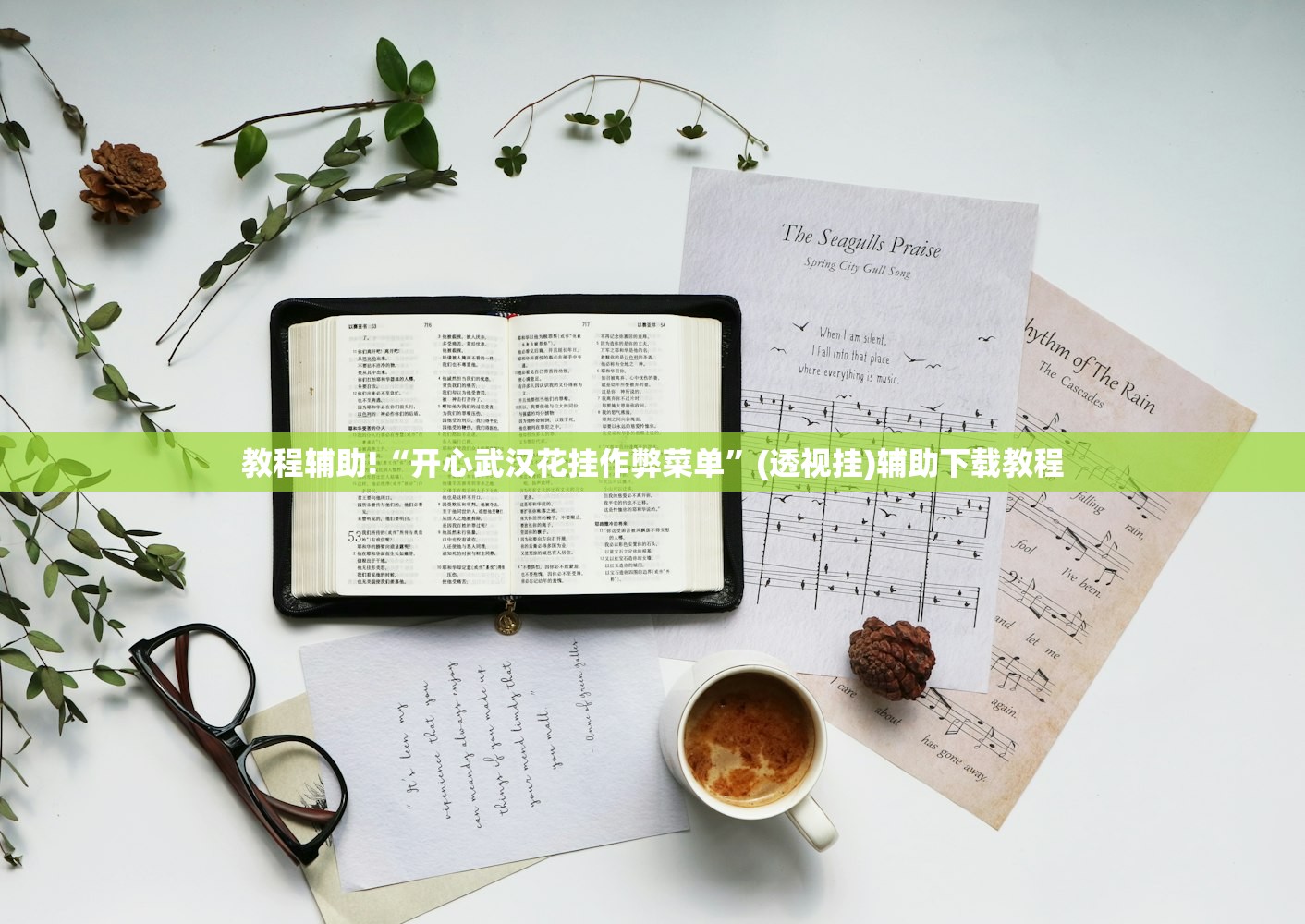 教程辅助!“开心武汉花挂作弊菜单”(透视挂)辅助下载教程