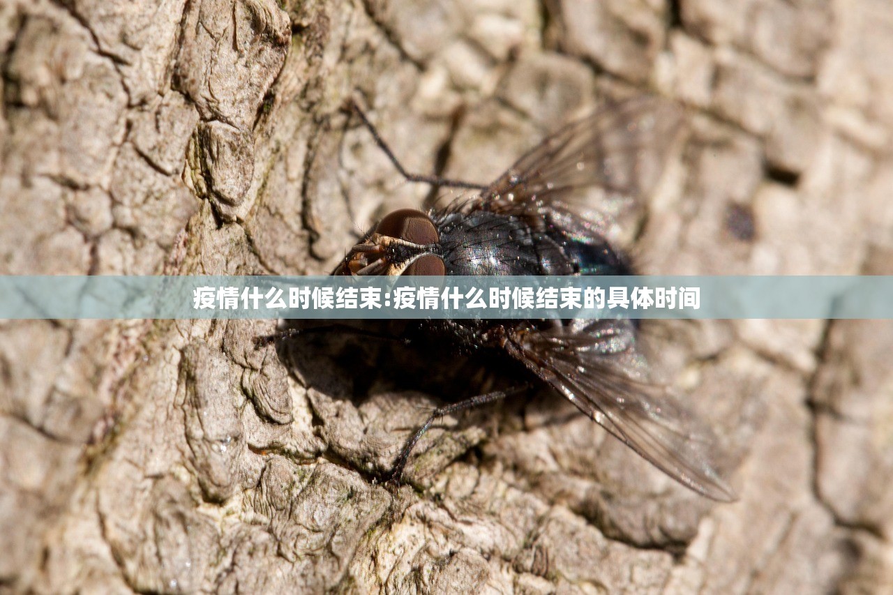 疫情什么时候结束:疫情什么时候结束的具体时间