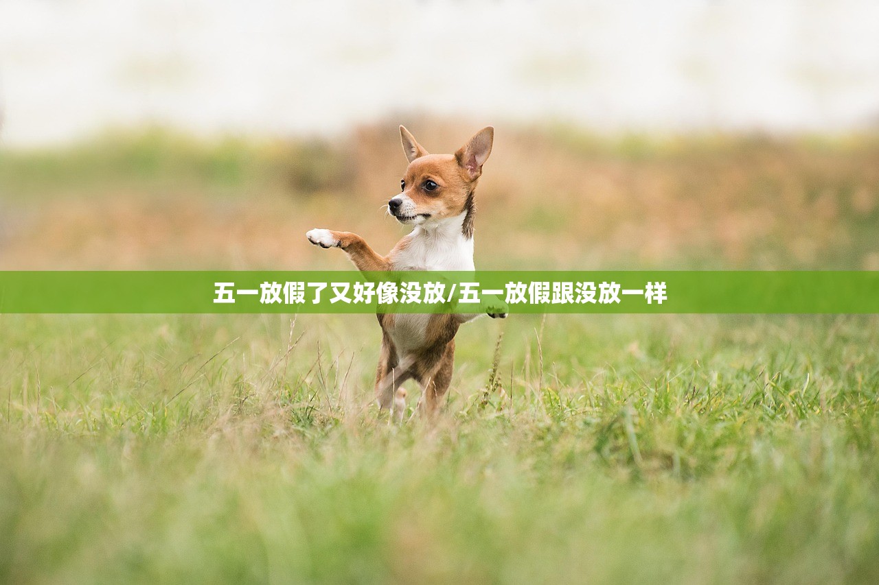 五一放假了又好像没放/五一放假跟没放一样
