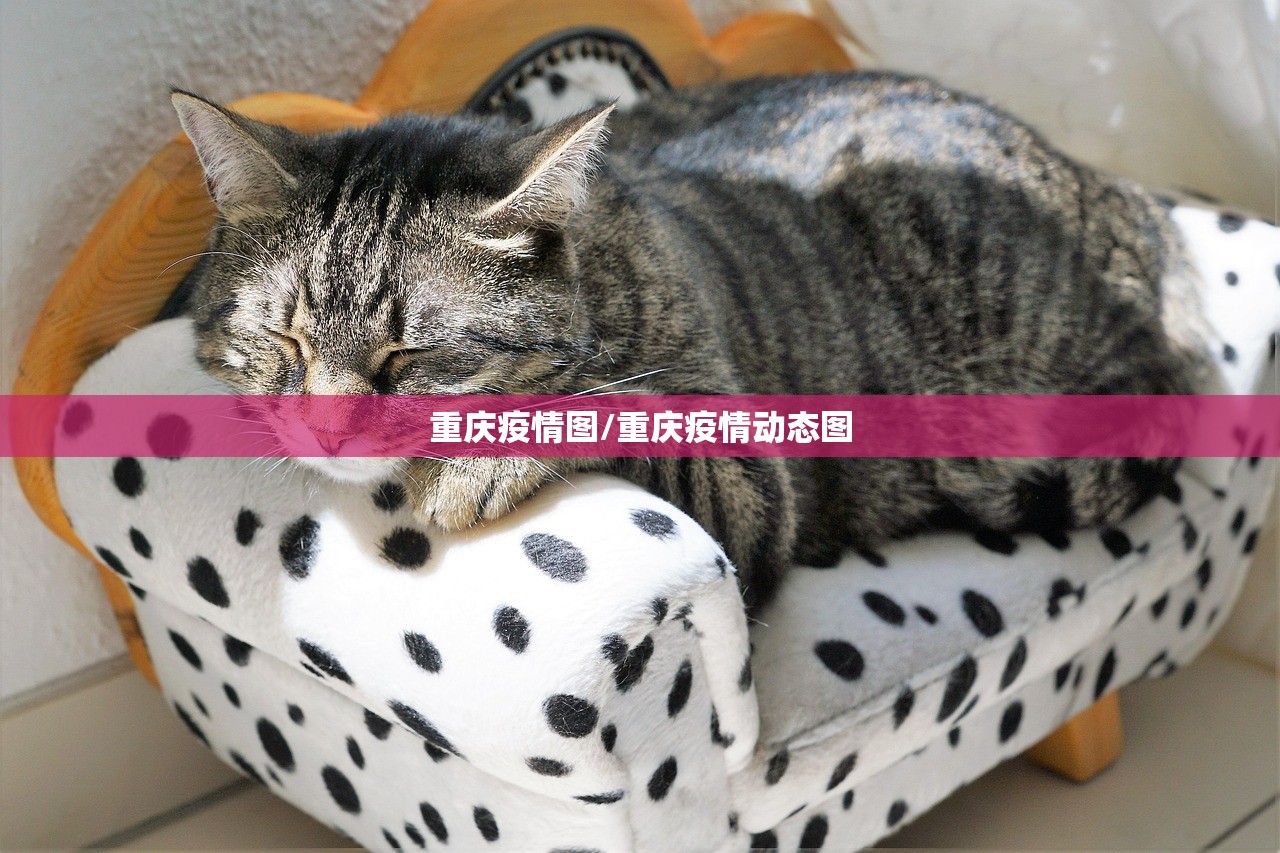 重庆疫情图/重庆疫情动态图