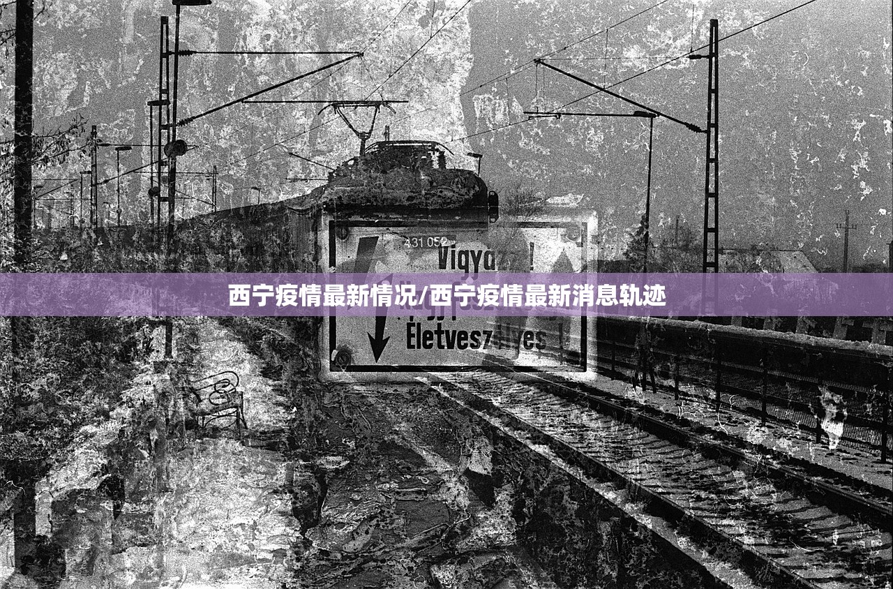 西宁疫情最新情况/西宁疫情最新消息轨迹