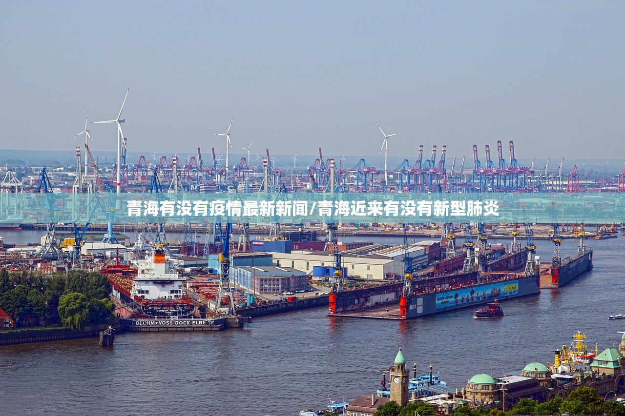 青海有没有疫情最新新闻/青海近来有没有新型肺炎