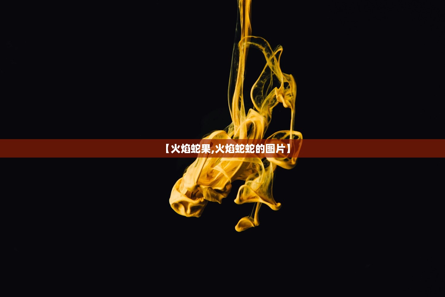 【火焰蛇果,火焰蛇蛇的图片】 【火焰蛇果,火焰蛇蛇的图片】