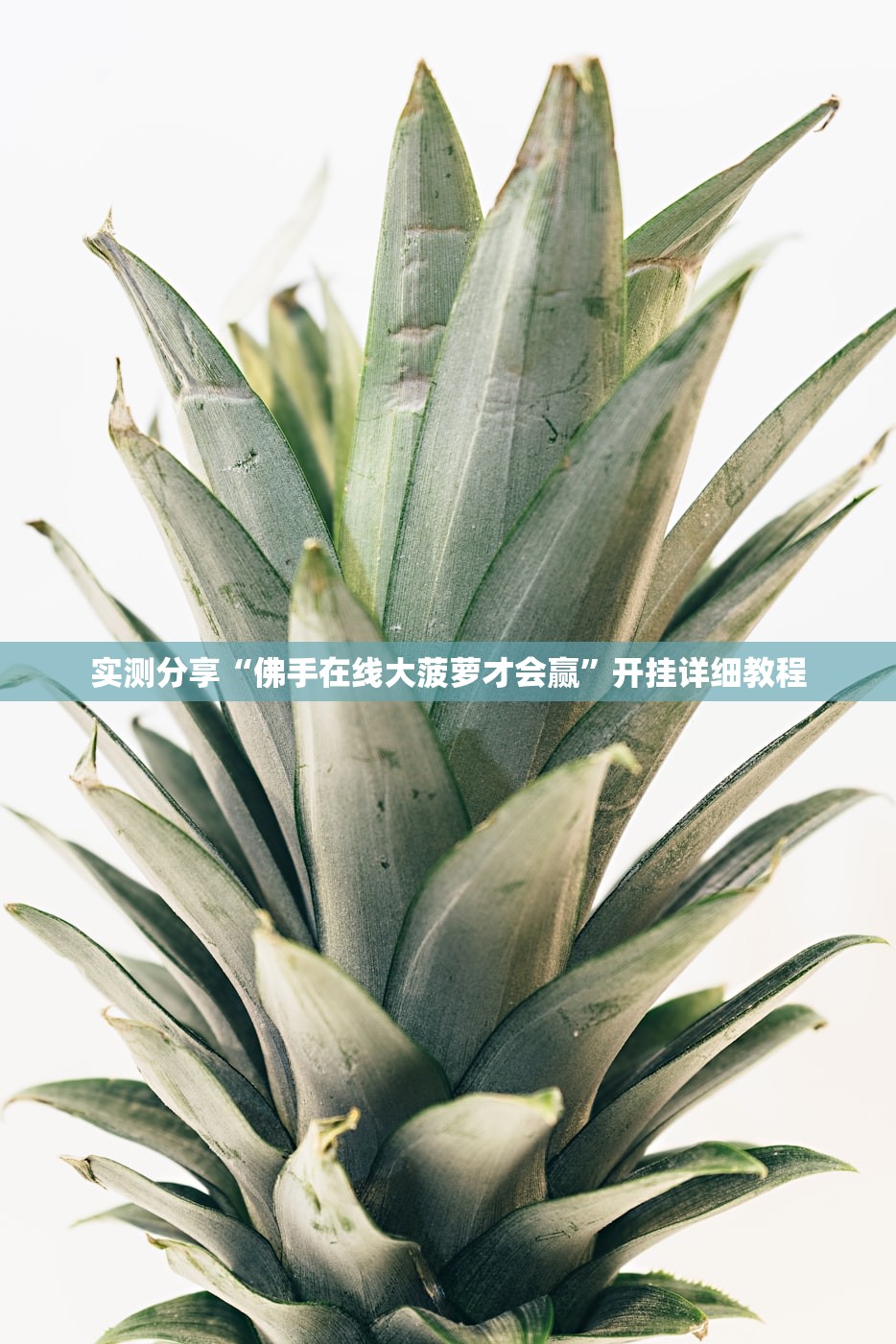 深圳黄金费用/深圳哪里黄金回收费用高
