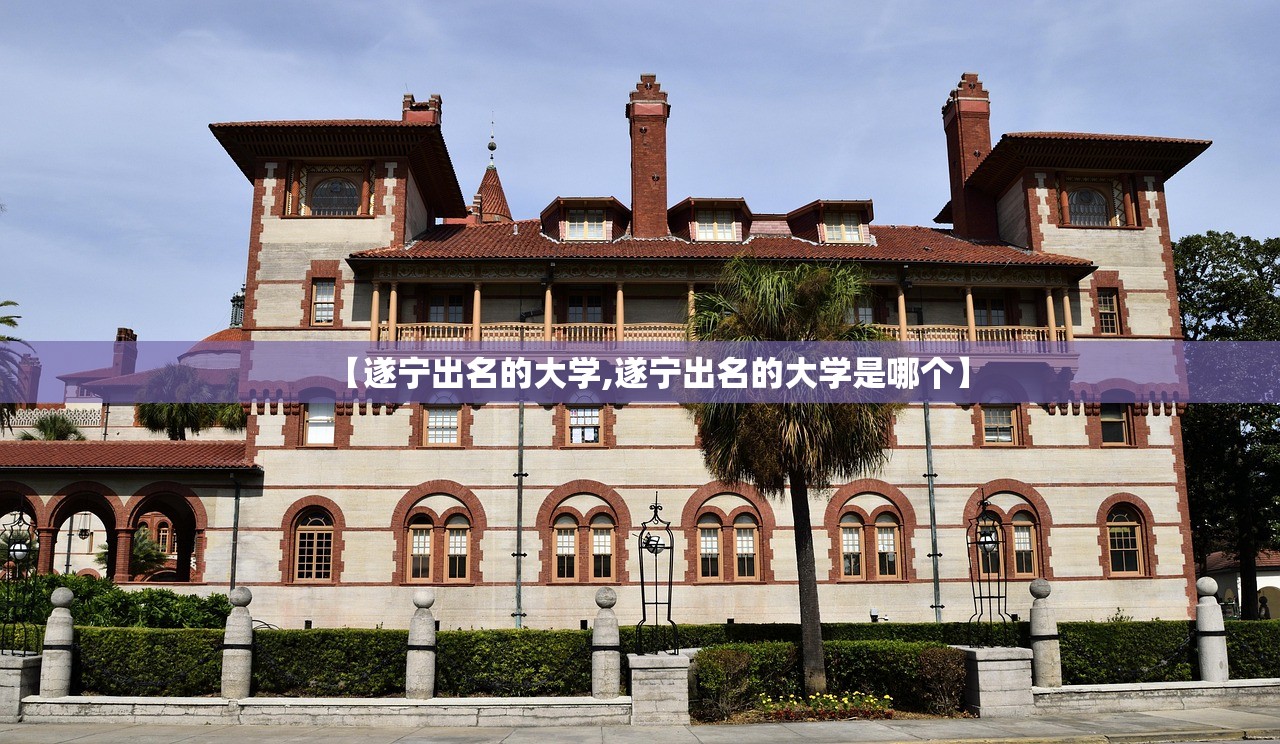 【遂宁出名的大学,遂宁出名的大学是哪个】
