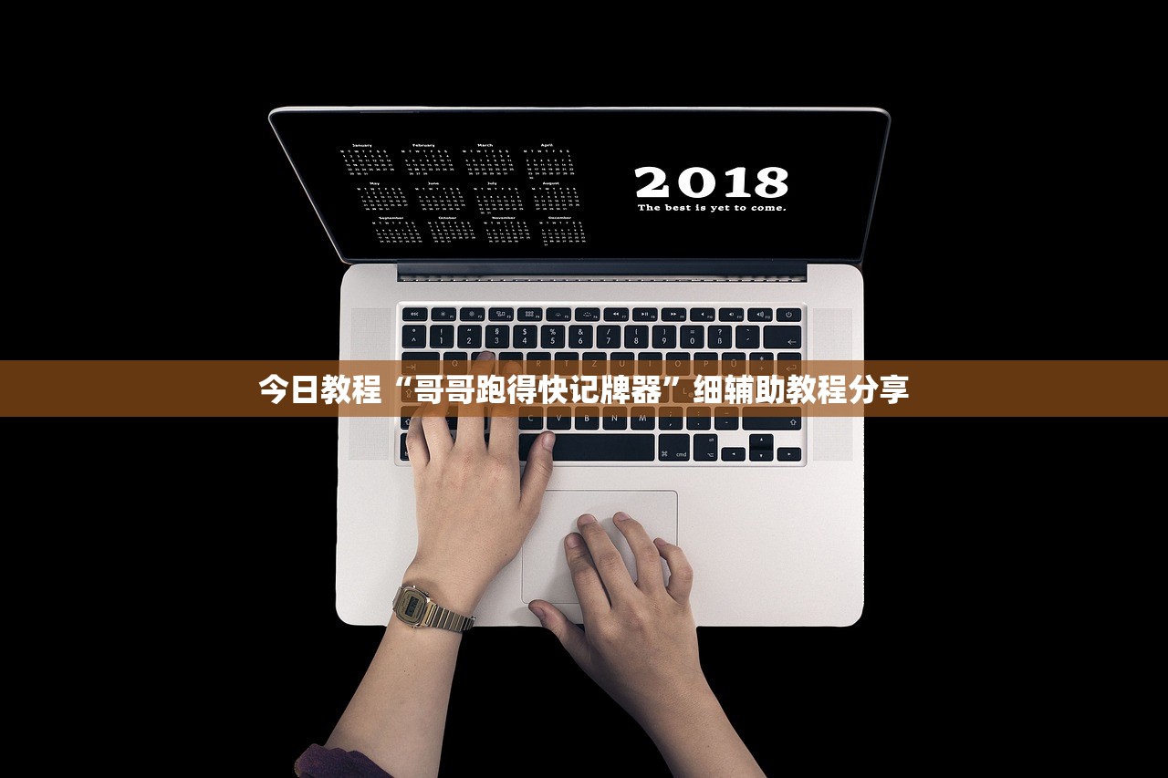 今日教程“哥哥跑得快记牌器”细辅助教程分享