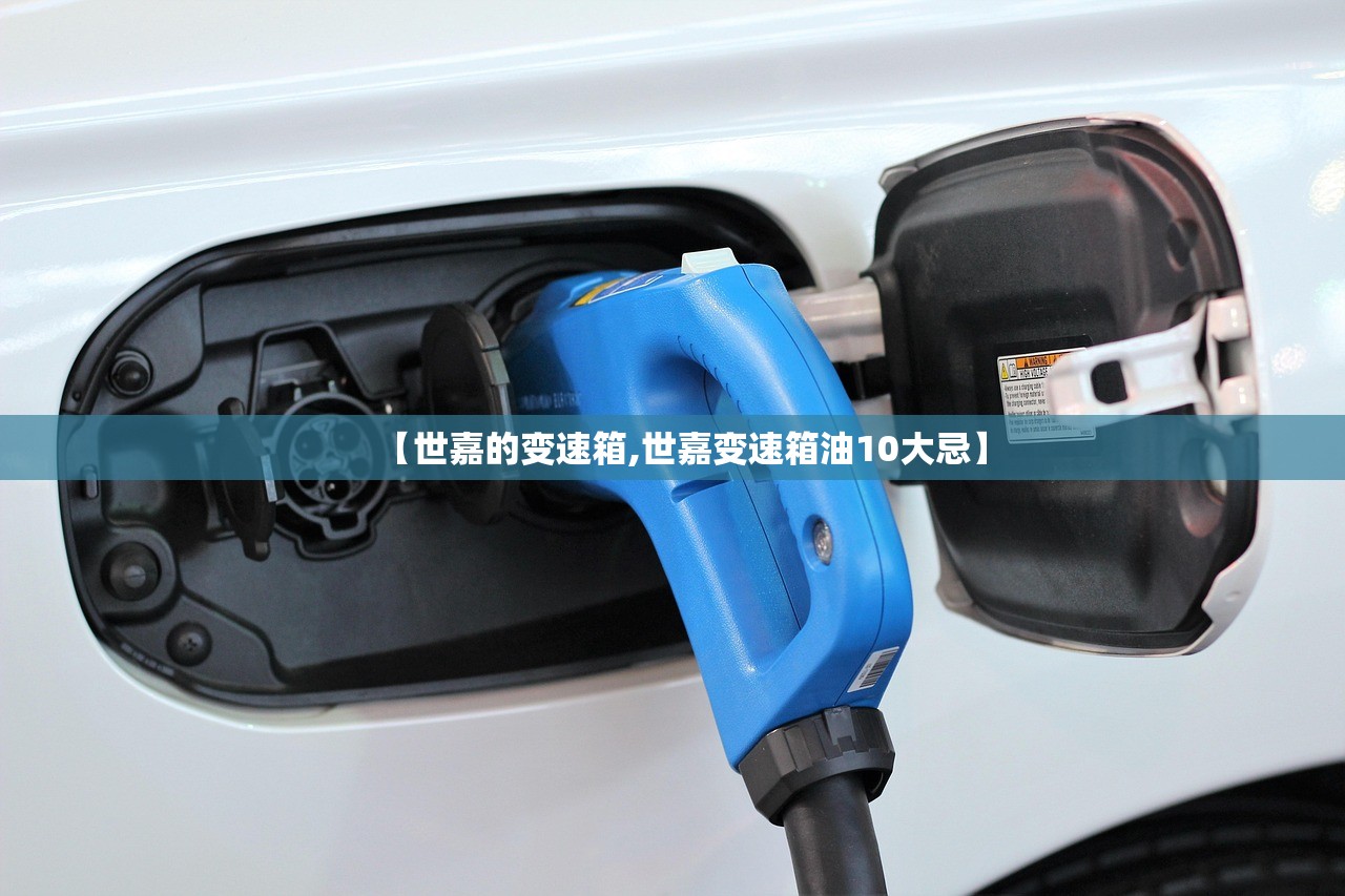 必备科技“决胜麻将内蒙一口香有挂吗”开挂辅助脚本+详细开挂安装教程