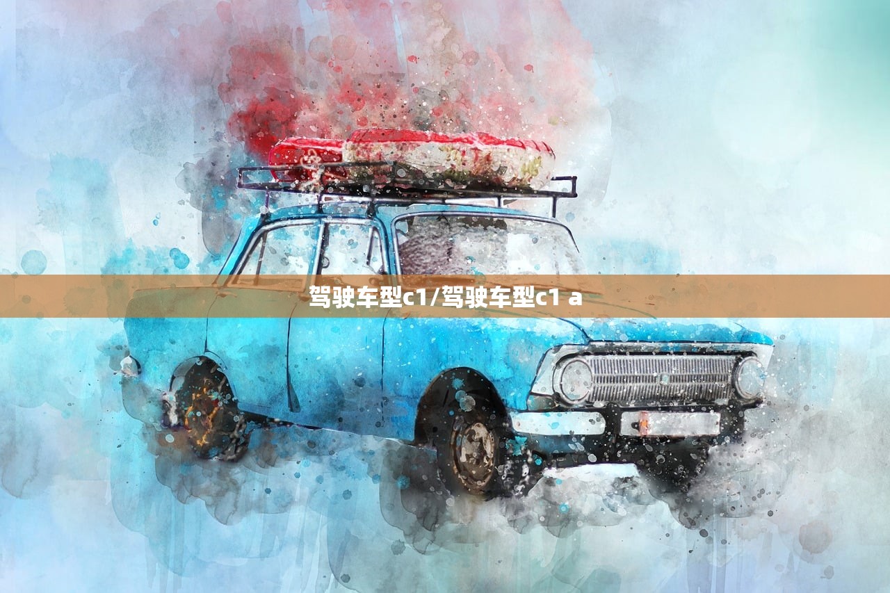 驾驶车型c1/驾驶车型c1 a