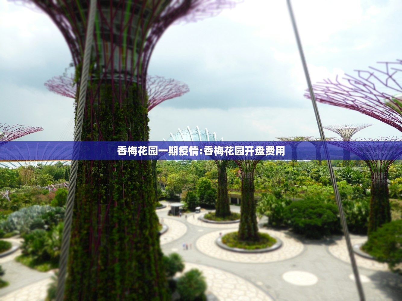 香梅花园一期疫情:香梅花园开盘费用