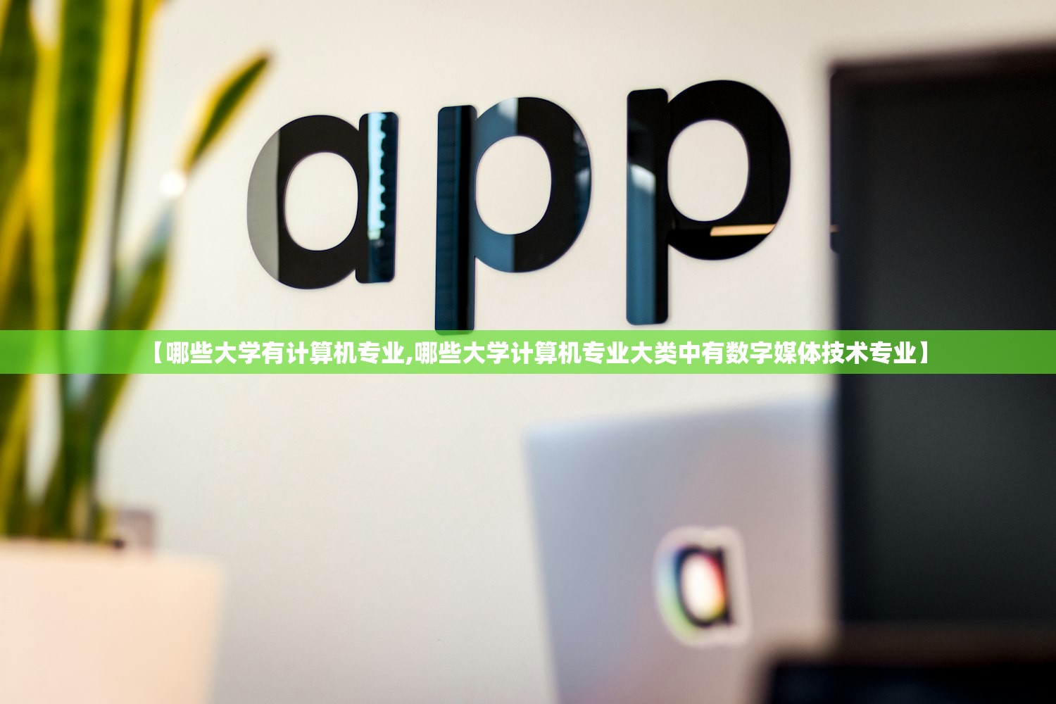 【哪些大学有计算机专业,哪些大学计算机专业大类中有数字媒体技术专业】