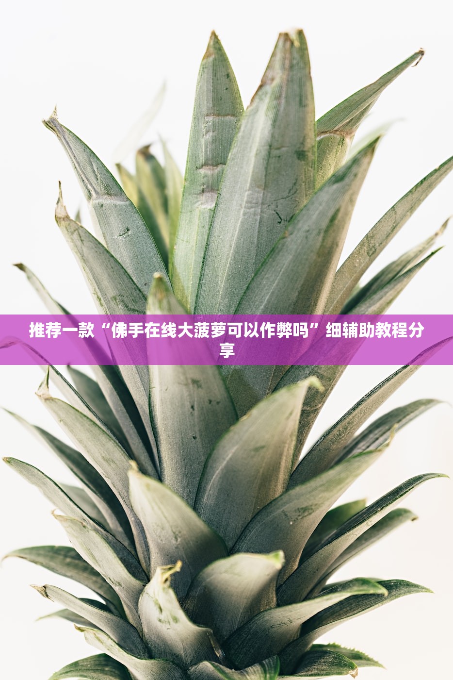 推荐一款“佛手在线大菠萝可以作弊吗”细辅助教程分享