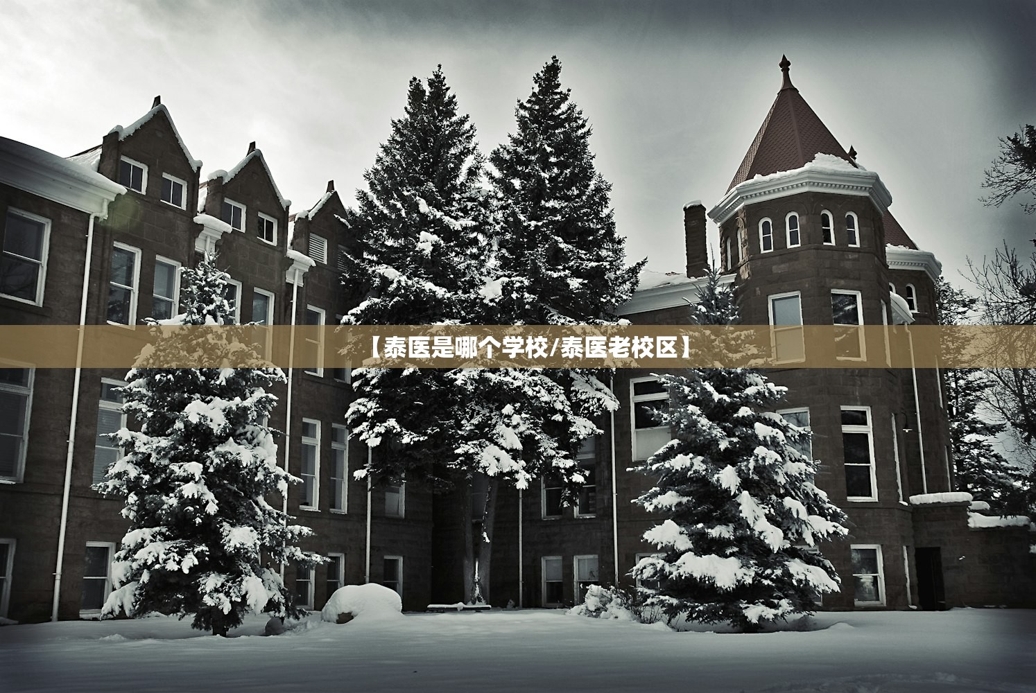 【泰医是哪个学校/泰医老校区】