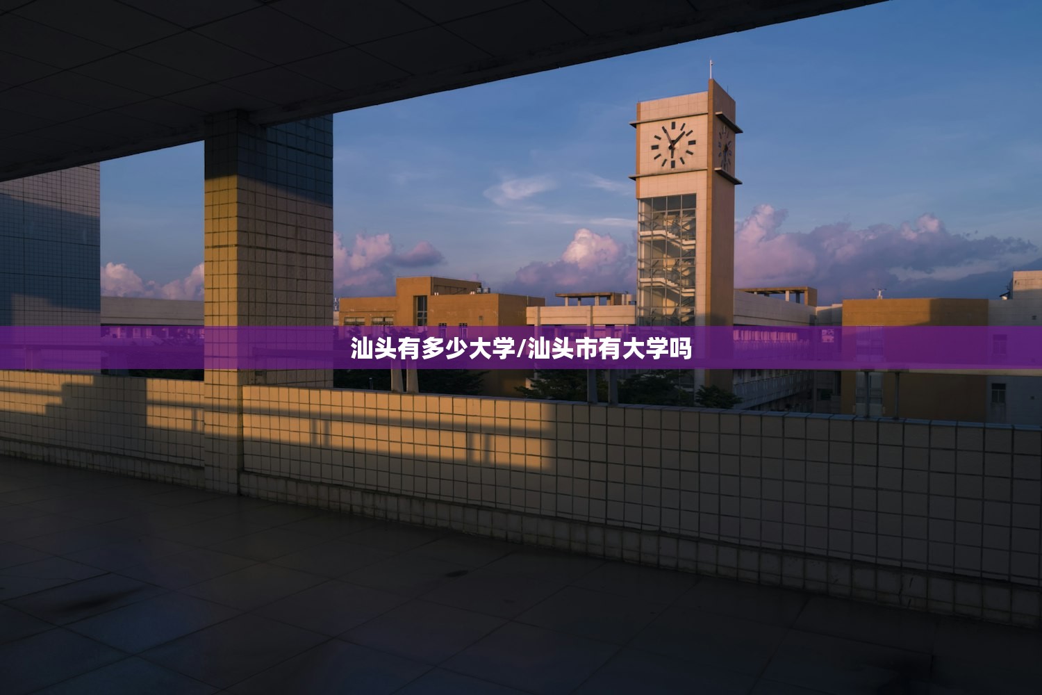汕头有多少大学/汕头市有大学吗