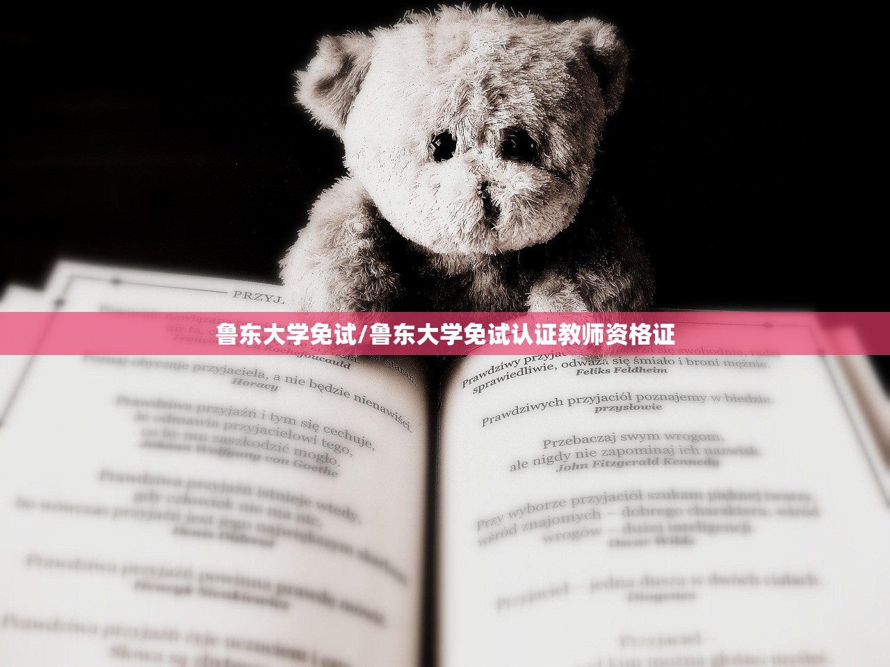 鲁东大学免试/鲁东大学免试认证教师资格证