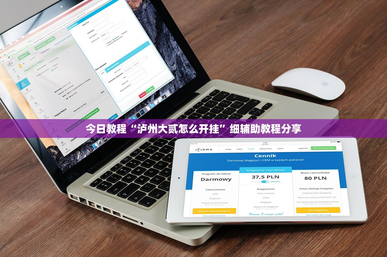 今日教程“泸州大贰怎么开挂	”细辅助教程分享