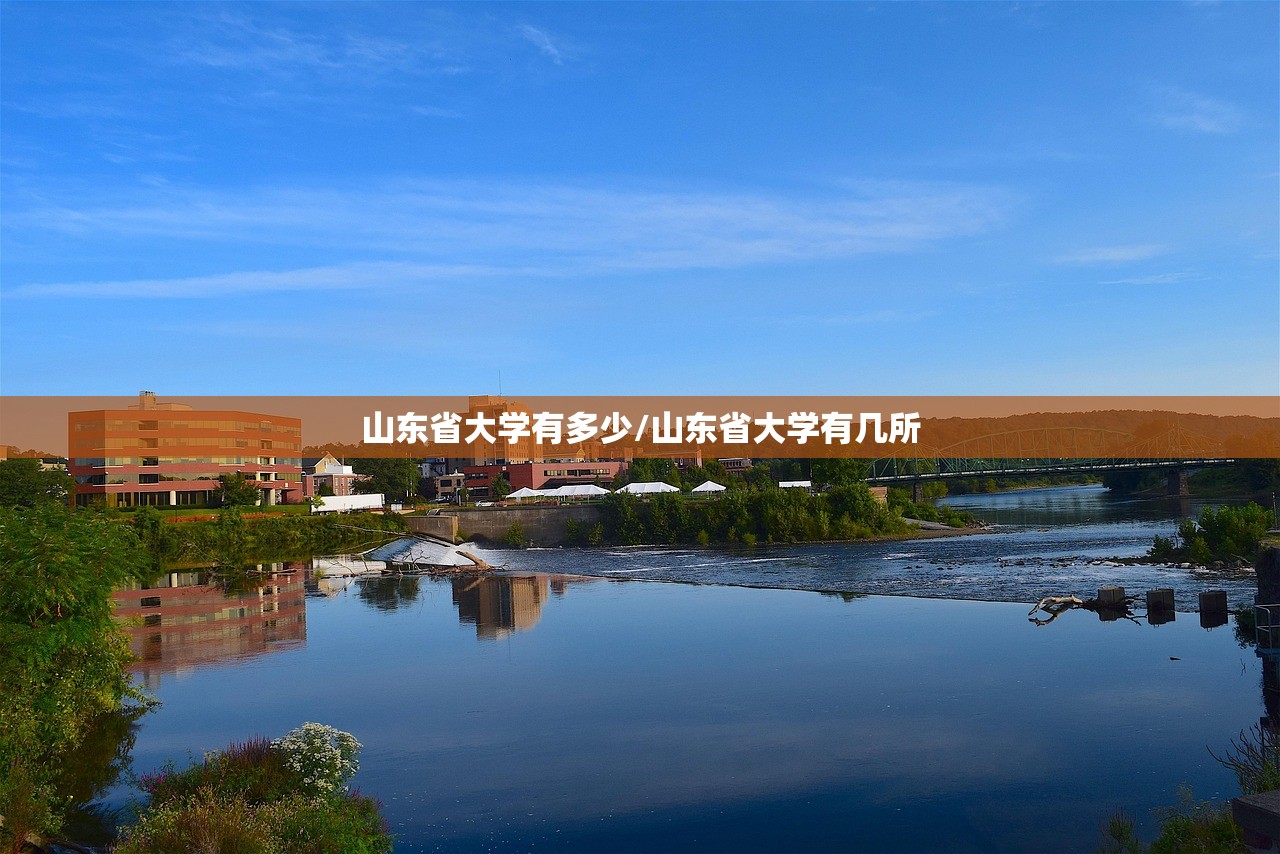 山东省大学有多少/山东省大学有几所