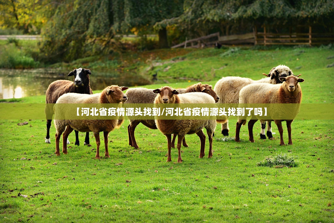 【河北省疫情源头找到/河北省疫情源头找到了吗】