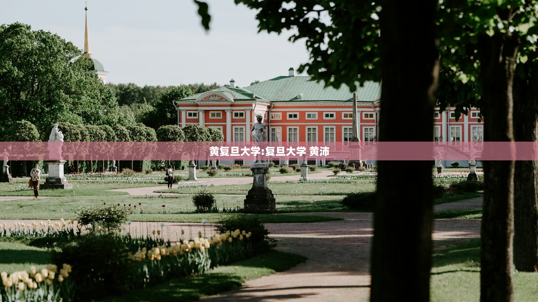 黄复旦大学:复旦大学 黄沛